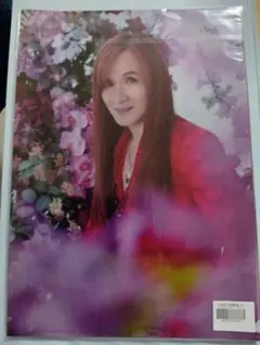 Sakura Mana クリアファイル セット Sakura Mana クリアファイル セット