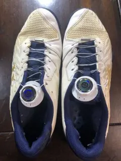 Item thumbnail for item d6eb29f2-9d63-46a7-a163-be987290738b