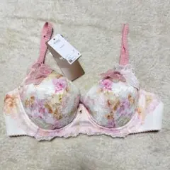 ワコール Wing レシアージュ 花柄刺繍 ブラジャー C75 PB2900のサムネイル