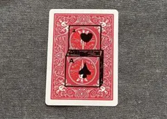 ミニ・カーディオグラフィック（選んだカードの絵がせり上がる）