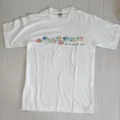 アンヴィル ハワイの Tシャツ ANVILのサムネイル