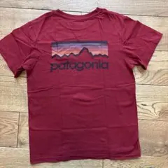 Patagonia パタゴニア Tシャツ ボルドー