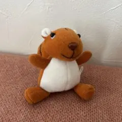 2026年最新】knick knack ぬいぐるみの人気アイテム - メルカリ