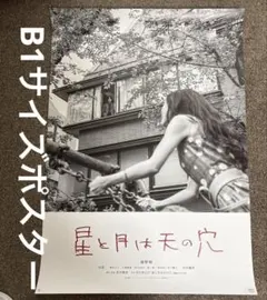 綾野剛 星と月は天の穴 ポスター