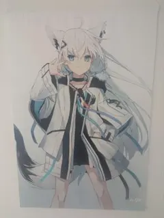 ホロライブ 白上フブキ 湊あくあ B2タペストリー - メルカリ