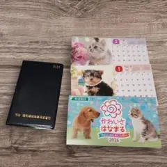 Item thumbnail for item cdeb97b8-c5e0-4ed5-87d8-8bd3a2ab860d