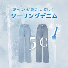 【新品】HOTPING ハイウエストツーボタンサマーワイドデニムパンツ