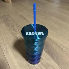 Item thumbnail for item 69573803-bce4-4761-bf47-44a1592c6b43