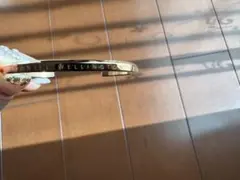 Item thumbnail for item 70408e49-0497-47a9-94f5-3138cce2cfb9