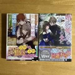 小説　「宰相補佐と黒騎士の契約結婚と離婚とその後」　「婚約破棄のその先に」