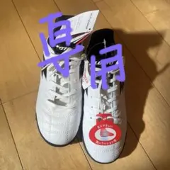 専用出品です。LOTTO トレーニングシューズ 22.5cm