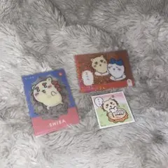 ちいかわ キラキラカード クリアカード ステッカー シール 【シーサー】