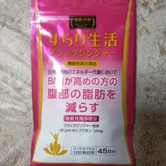 2026年最新】すらり生活ブラックジンジャーの人気アイテム - メルカリ