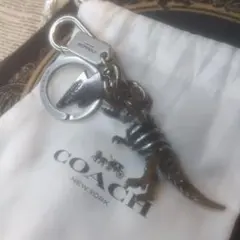 2025年最新】coach レキシー チャームの人気アイテム - メルカリ