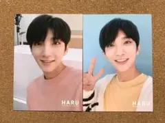SEVENTEEN HARU トレカ ジョシュア 2枚セット