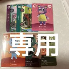 アイリリス様　専用