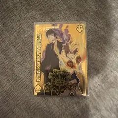 家庭教師ヒットマンREBORN　サザンクロスバトル　MVR 沢田綱吉