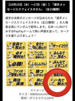 ホークス 柳町達タオル