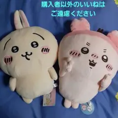 ちいかわ　うさぎ　リュック　かにちゃん　古本屋さん　2点セット