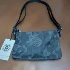 Item thumbnail for item 02f1da63-4ab9-4870-be70-32b25a1c83c9