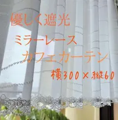 Item thumbnail for item 83baf366-3f8d-410c-a9b5-2390e22f8715