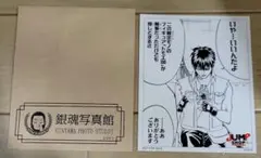 銀魂写真館 ステッカー 土方十四郎 トッシー ジャンプショップ