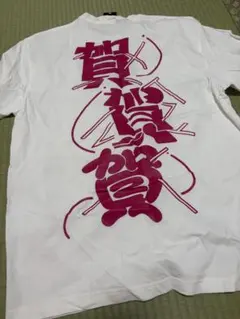 銀杏BOYZ 大森靖子　Tシャツ　Lサイズ 希少サイズ】大森靖子 銀杏BOYZ 峯田デザイン Tシャツ｜Yahoo!フリマ