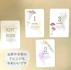 Item thumbnail for item 10845eec-227d-4f29-be9d-5357ba4a1862