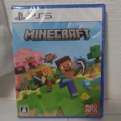 minecraft switch