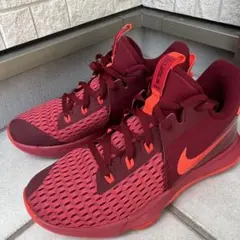 NIKE レブロン ウィットネス5 スニーカー 29cmのサムネイル