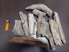 流木 10本セット 様々な形状とサイズ