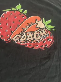 coach コーチ　古着　Mサイズ