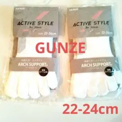 【新品】グンゼ アクティブスタイル アーチサポートソックス 22-24cm2足