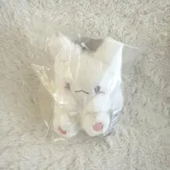 はなまるおばけ　マスコット　しろふわ雲でおひるね　サンリオ