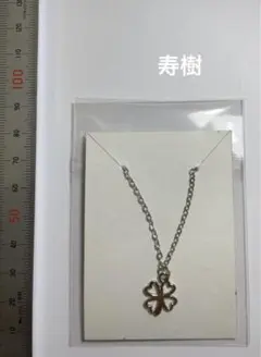 Item thumbnail for item f670de66-5718-4c56-a3f8-a9b11f9837dd