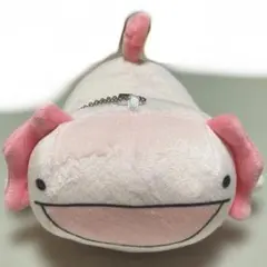 からめる ウーパールーパー ピンク ぬいぐるみ マスコット