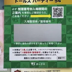 ドルパ54 ガイド ブック 未削り ワンオフ券切り取り済