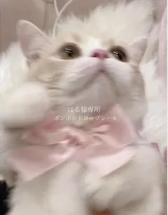 【はる様　専用】