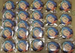 HiMERU イベコレ缶  特典あり ❀.*・゜