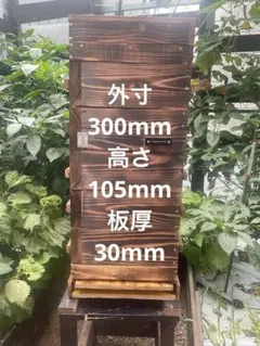 木製 巣箱 蜜蜂 重箱式 飼育箱 3段 焼き杉 - メルカリ