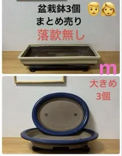 盆栽鉢 萬留平 特大楕円浅鉢 41cm 植木鉢 - メルカリ