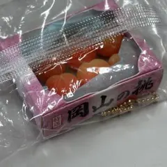 Item thumbnail for item 84ba2cc0-4e99-47e8-8ba8-cfa4a250c26b