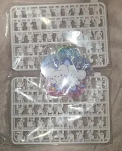 ポケモン ワッカネズミ パチパチデコネーム