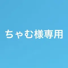 ちゃむ様専用商品