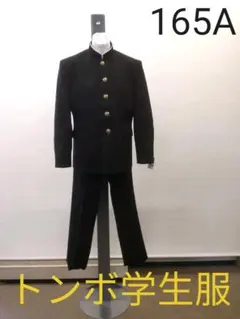 Item thumbnail for item e51038d2-d7a3-46d1-af84-51826871a472