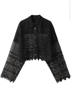 LE CIEL BLEU Paneled Lace Cropped Shirtのサムネイル