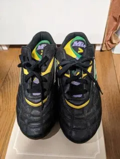 Item thumbnail for item a5835ed9-0a4a-4814-a905-d45c8d120026