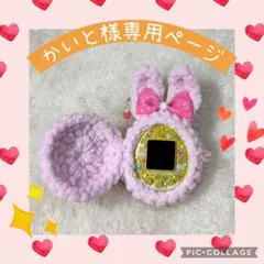 かいと様専用ページ　たまごっちみーつカバー