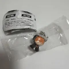 ハイキュー!! めじるしアクセサリー 日向翔陽