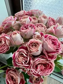 2026年最新】バラ苗 切花の人気アイテム - メルカリ